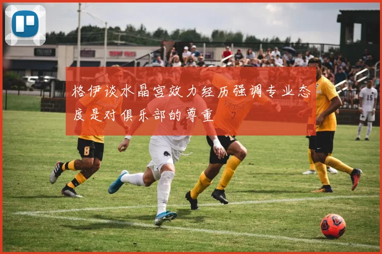 格伊谈水晶宫效力经历强调专业态度是对俱乐部的尊重