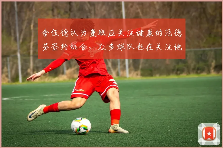 舍伍德认为曼联应关注健康的范德芬签约机会，众多球队也在关注他